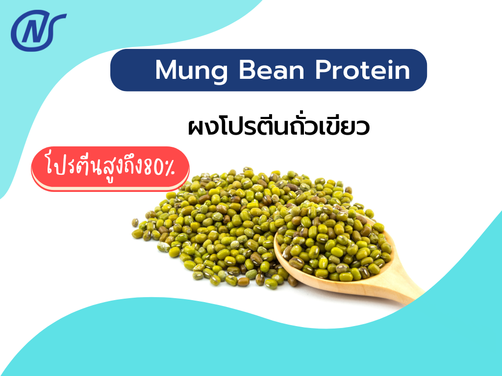 Mung Bean Protein